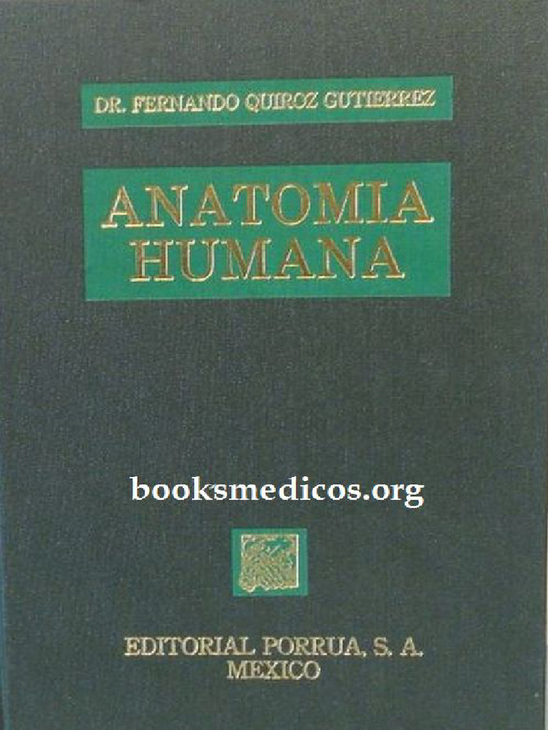 Anatomía Humana - Quiroz | PDF