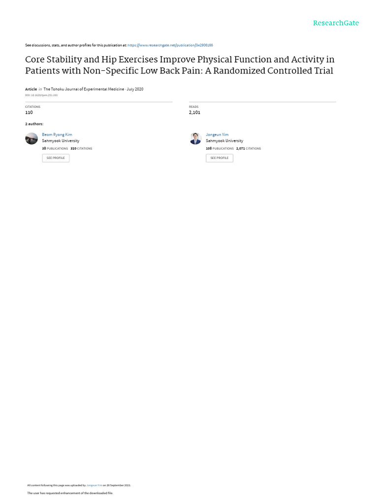 Core Stability Exercises for Low Back Pain | PDF | Low Back Pain | Back ...