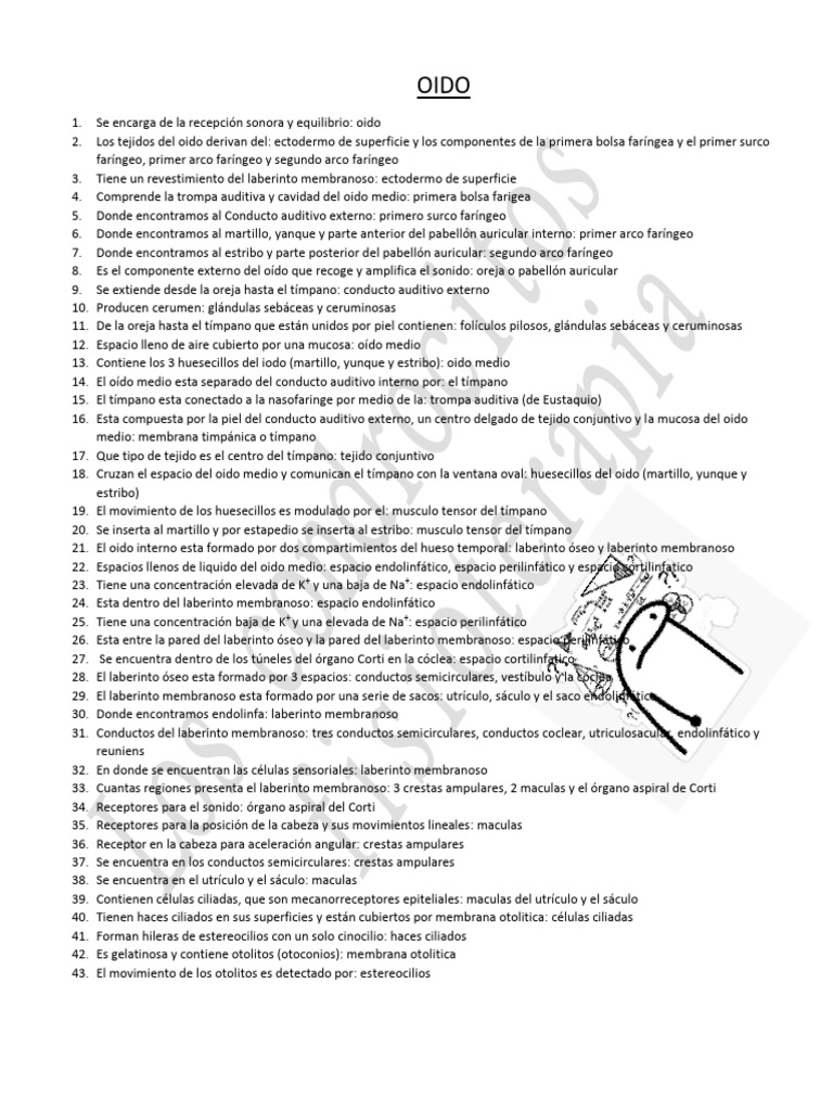 OIDO | PDF | Oído | Escuchando