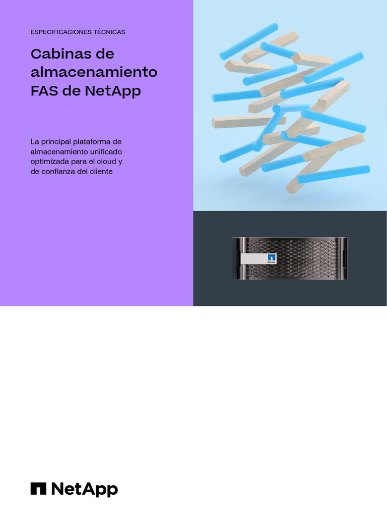 FAS Netapp | PDF | Apoyo | Computación en la nube