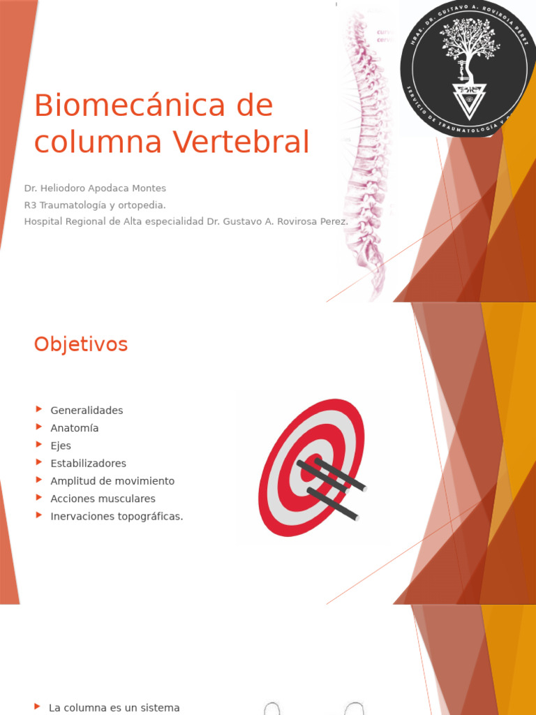 Biomecánica de la Columna Vertebral | PDF | La columna vertebral | Vértebra