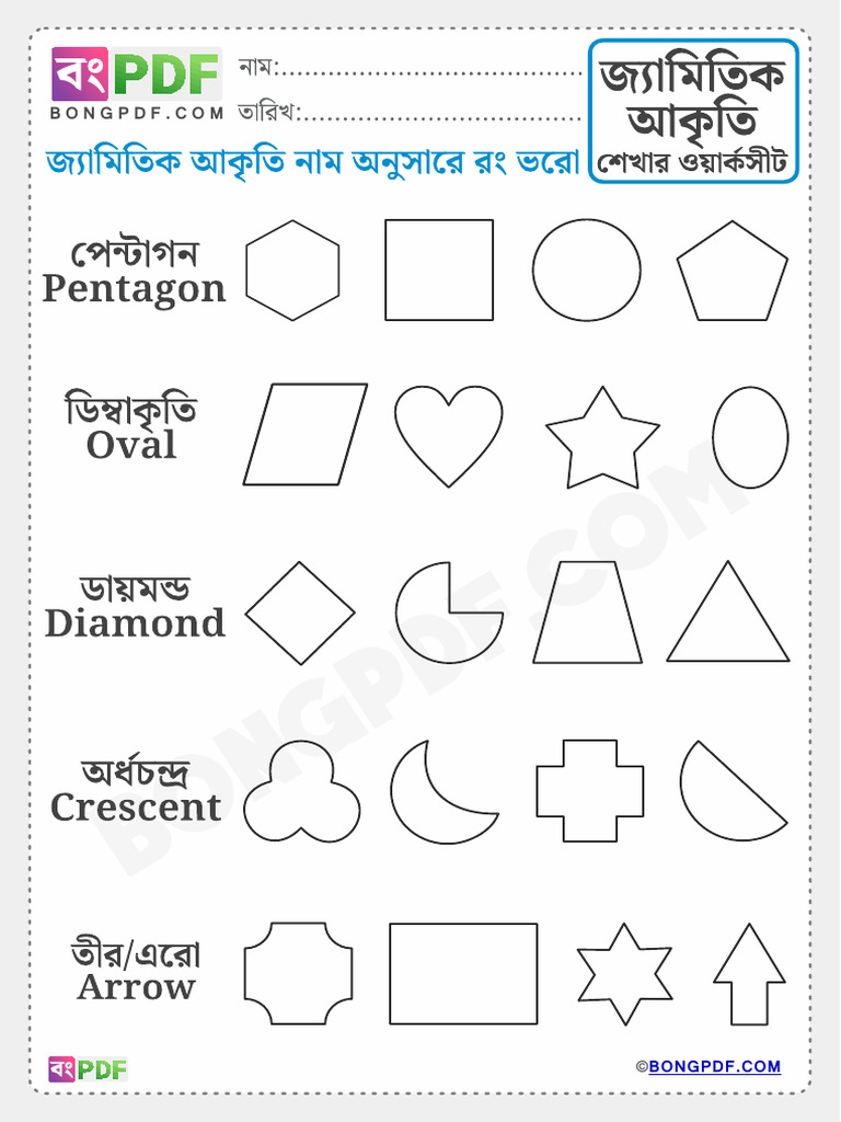 Color Right Geometric Shape PDF Worksheet | PDF