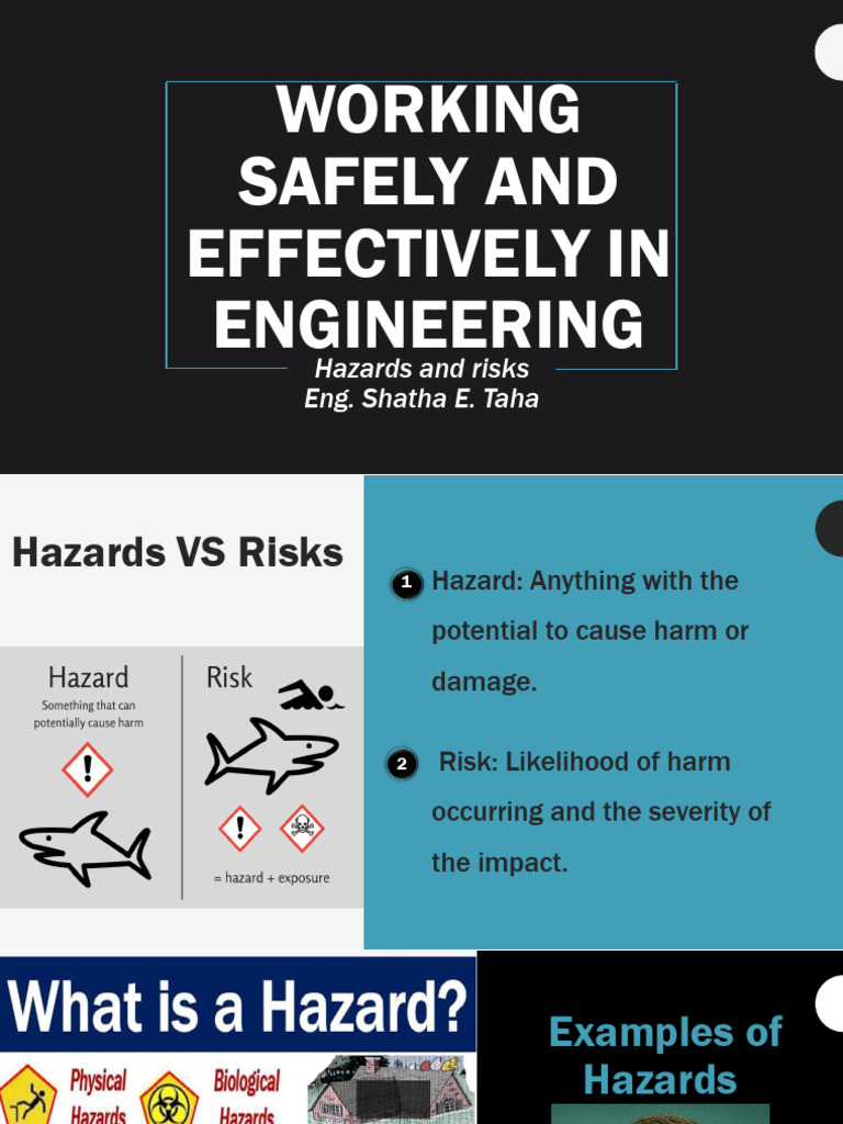 Hazards and Risks | PDF