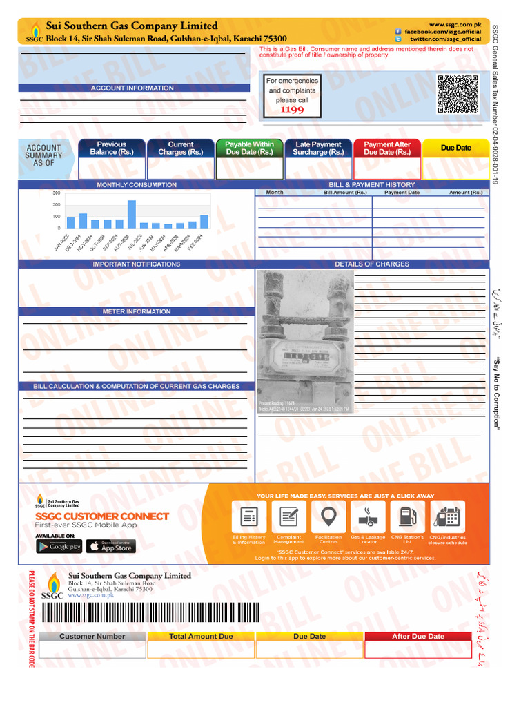 SSGC Gas Bill Summary January 2025 | PDF | Economies | Payments