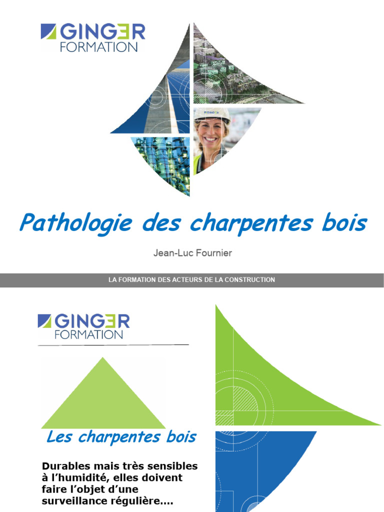 Pathologies des charpentes en bois | PDF | Bois (matériau de ...