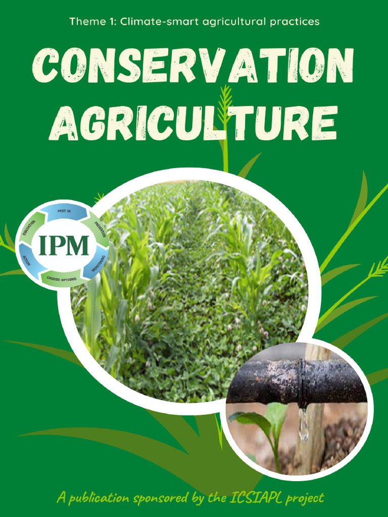Understanding Conservation Agriculture Practices | PDF | Crop Rotation ...