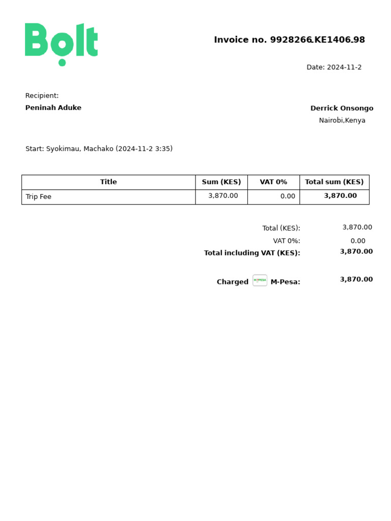 Bolt Payment Invoice Details | PDF