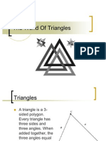 World of Triangles