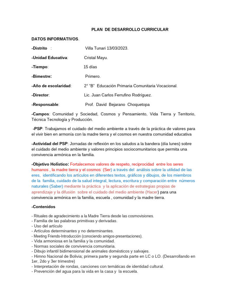 Plan Curricular de Educación Primaria | PDF
