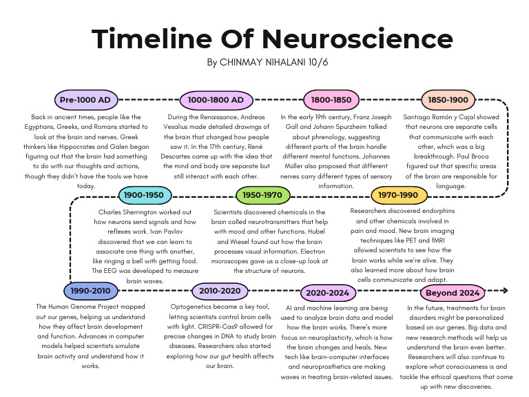 Timeline of Neuroscience Developments | PDF | Brain | Neuroscience