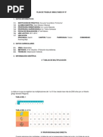 PLAN DE TRABAJO SIMULTANEO Nº 17
