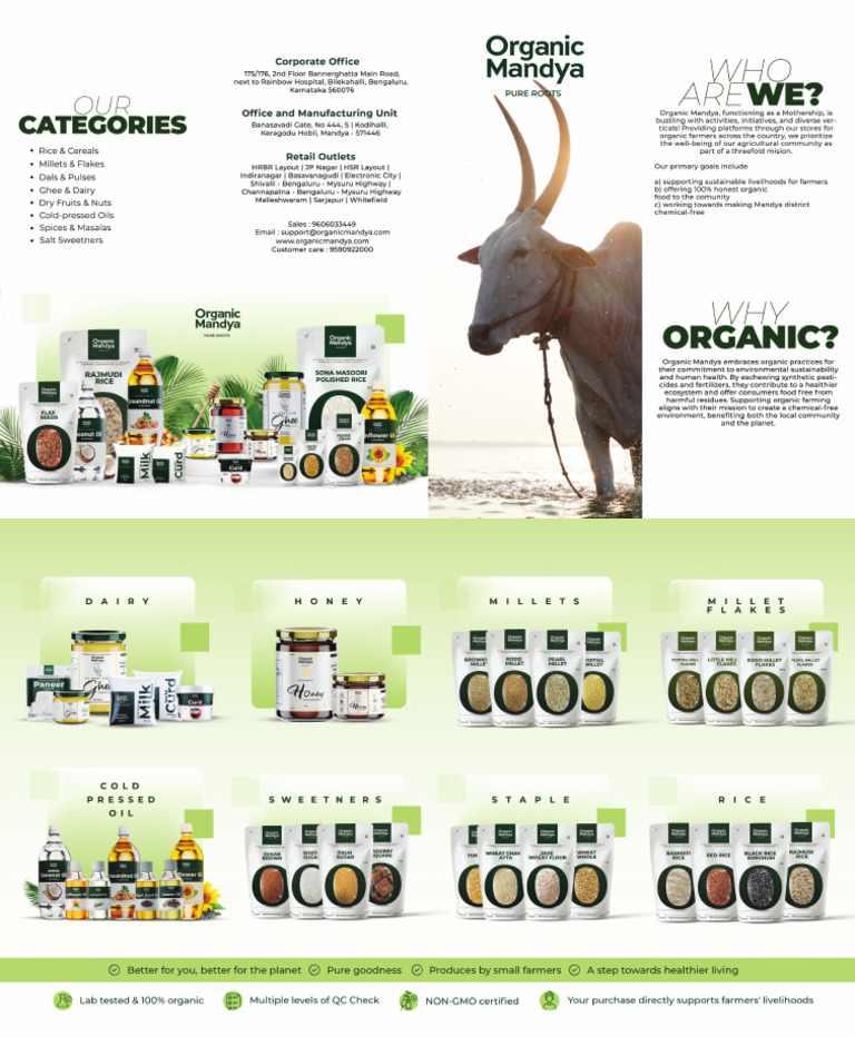 B2b Brochure | PDF