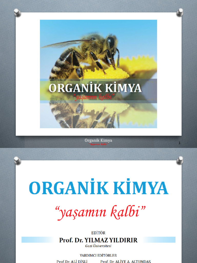 Giriş Ve Temel Kavramlar | PDF