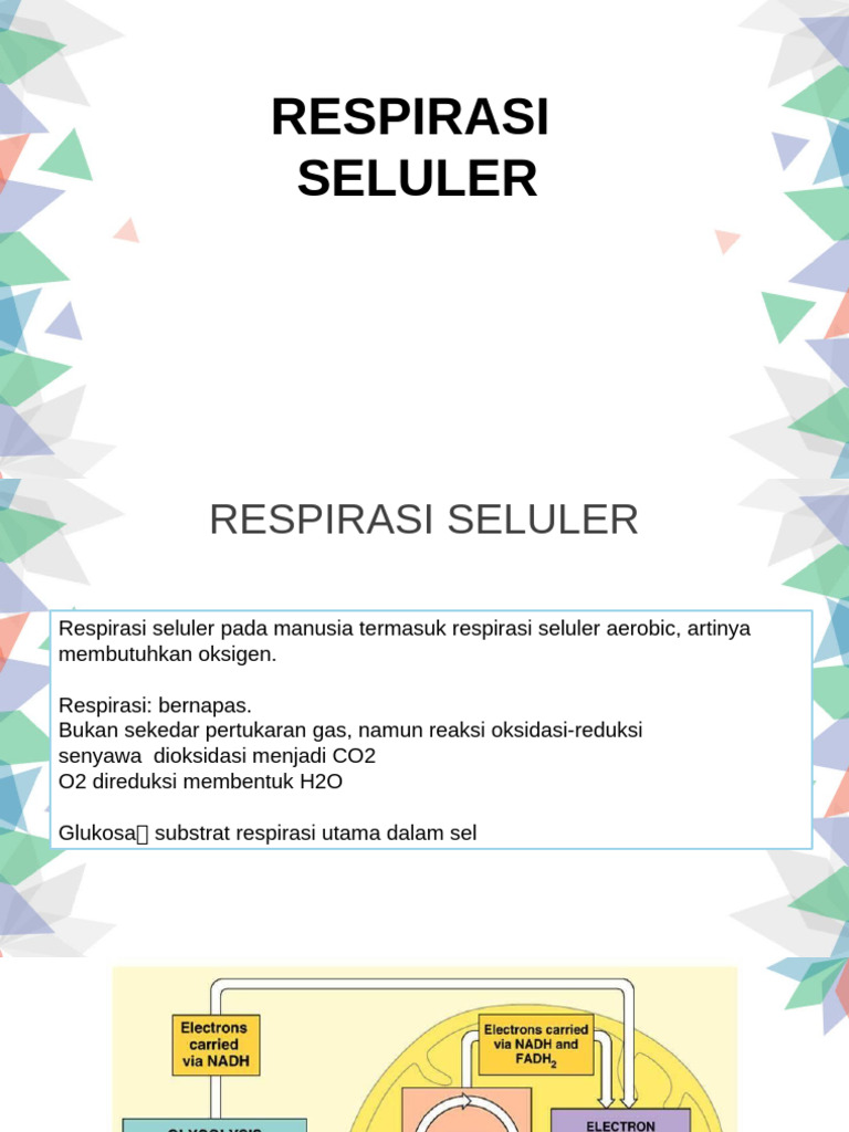 Proses dan Hasil Respirasi Seluler | PDF