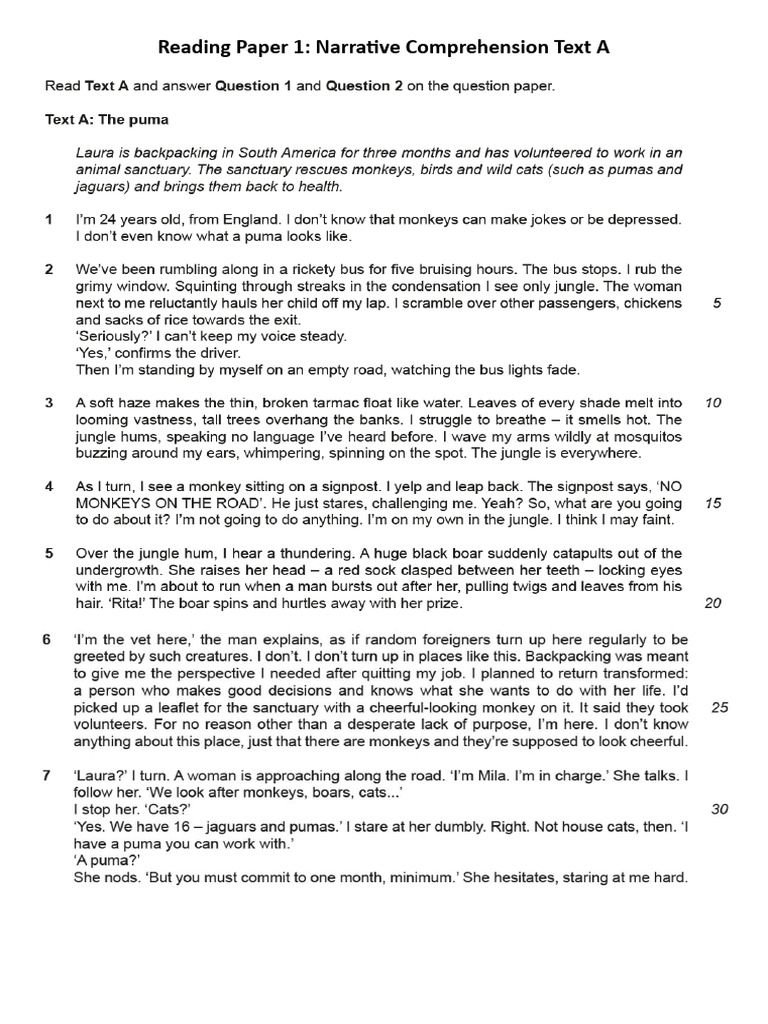 Narrative Comprehension Analysis Paper | PDF