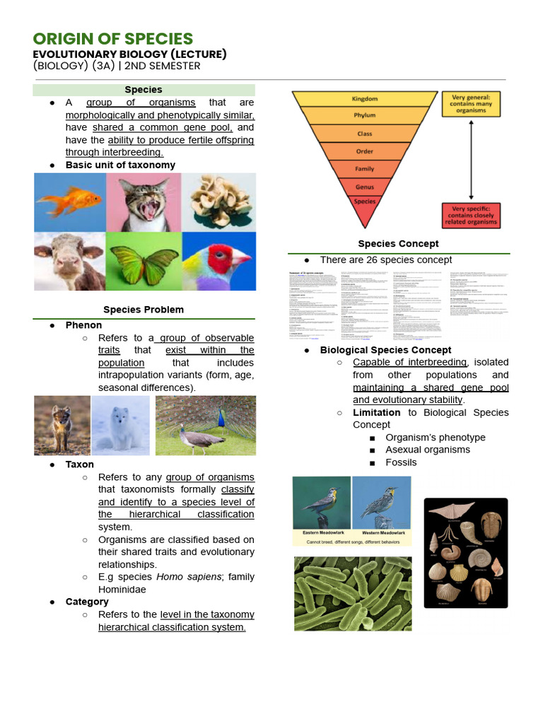Understanding Species and Speciation | PDF | Species | Hybrid (Biology)