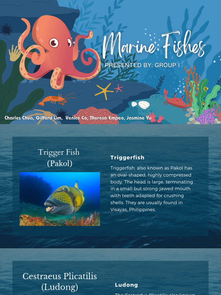 Pakol Fish: Characteristics and Habitat | PDF