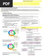 Clasificación de Carcinógenos IARC | PDF