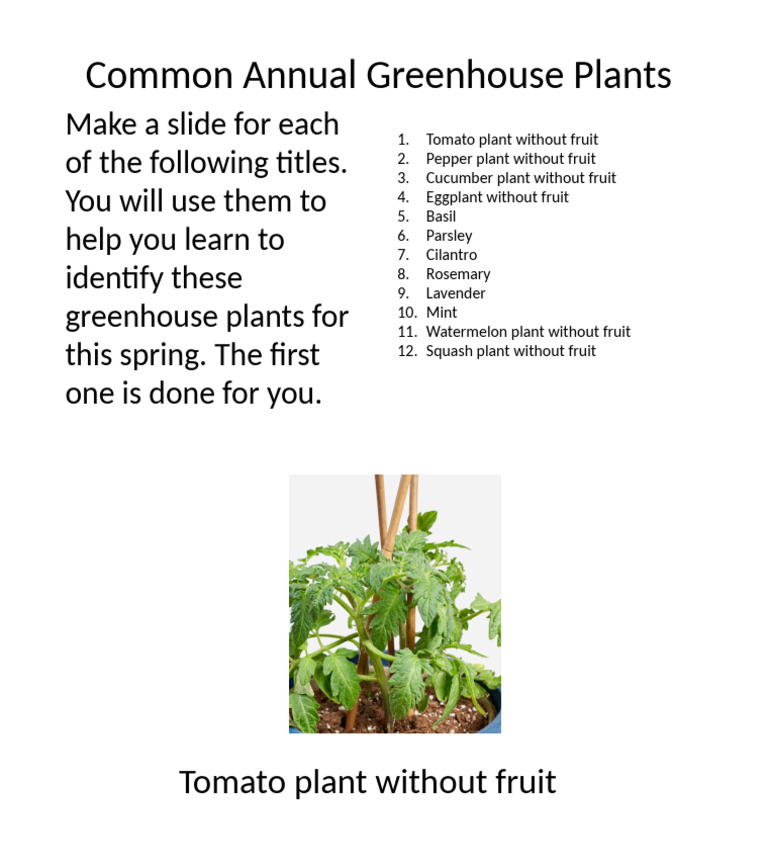 Greenhouse Plants for Spring Identification | PDF