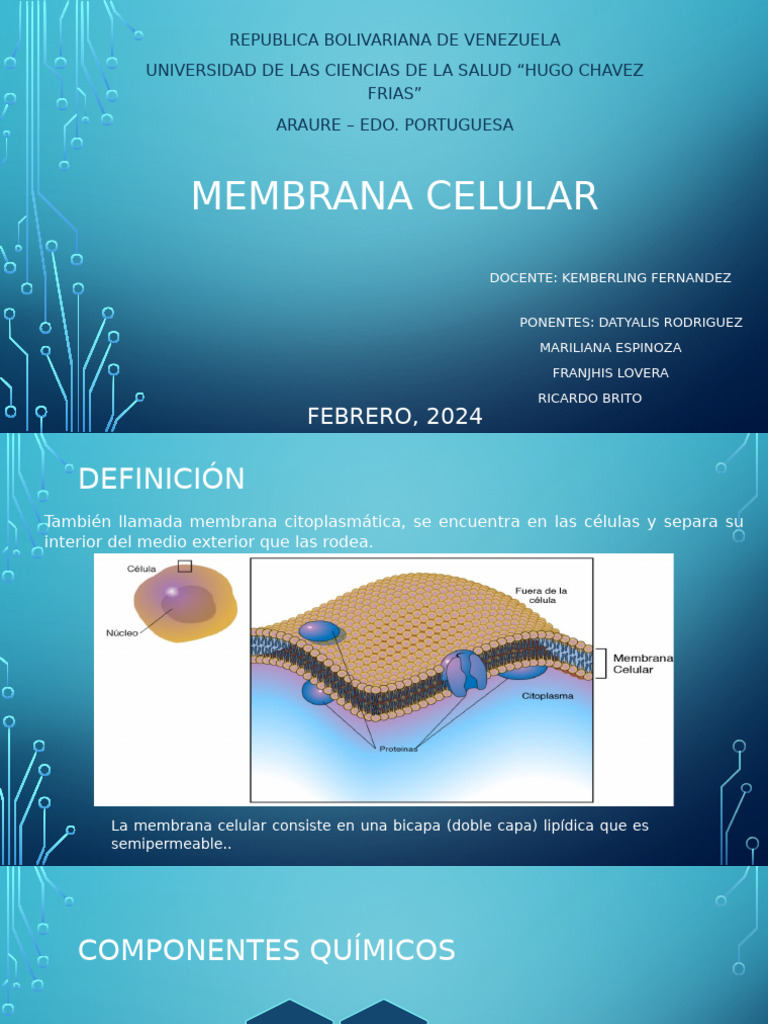 Estructura y Funciones de la Membrana Celular | PDF