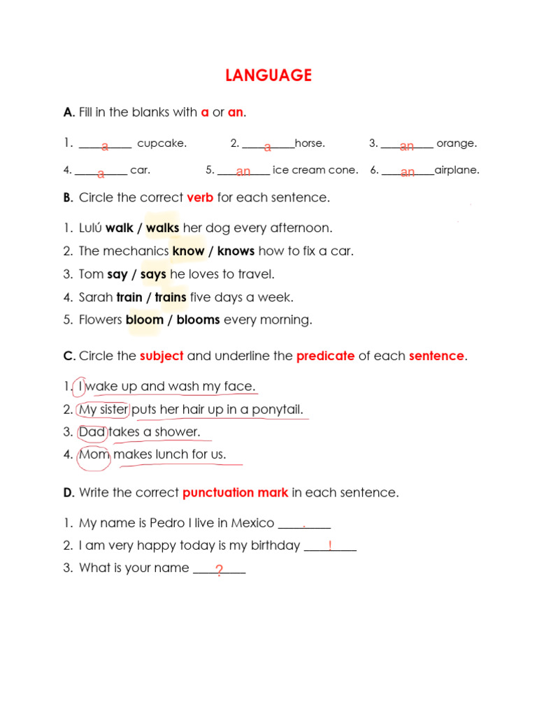 English Language Exercises for Beginners | PDF | Verb | Word