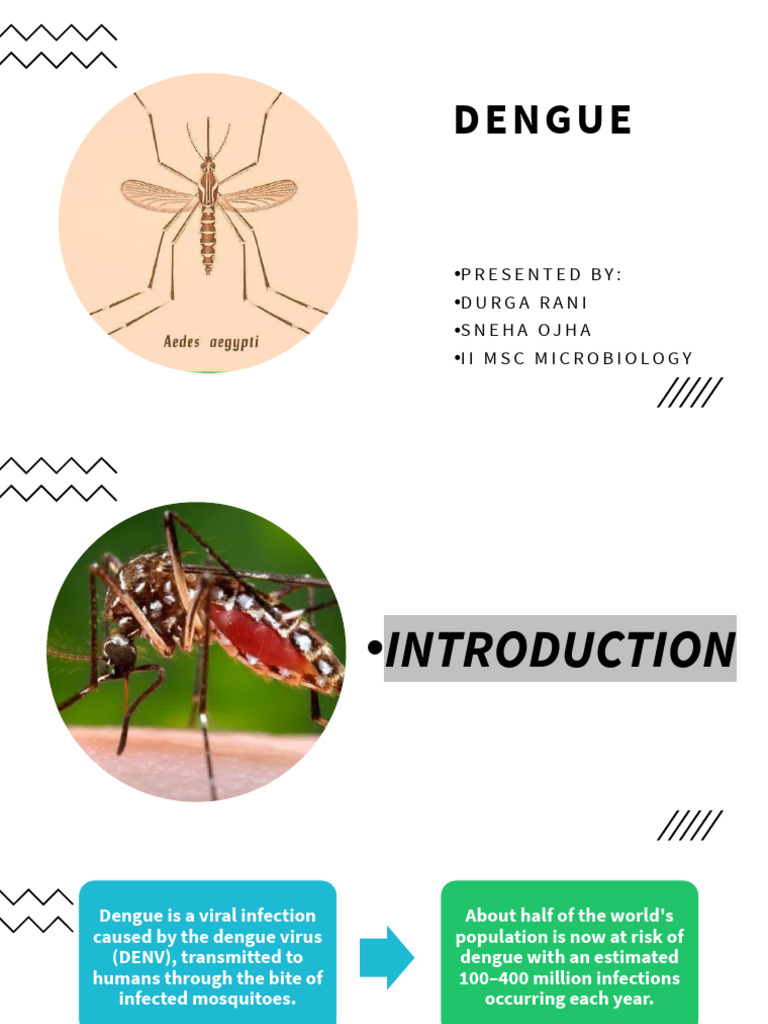 Understanding Dengue Virus and Its Impact | PDF | Virus | Vaccines