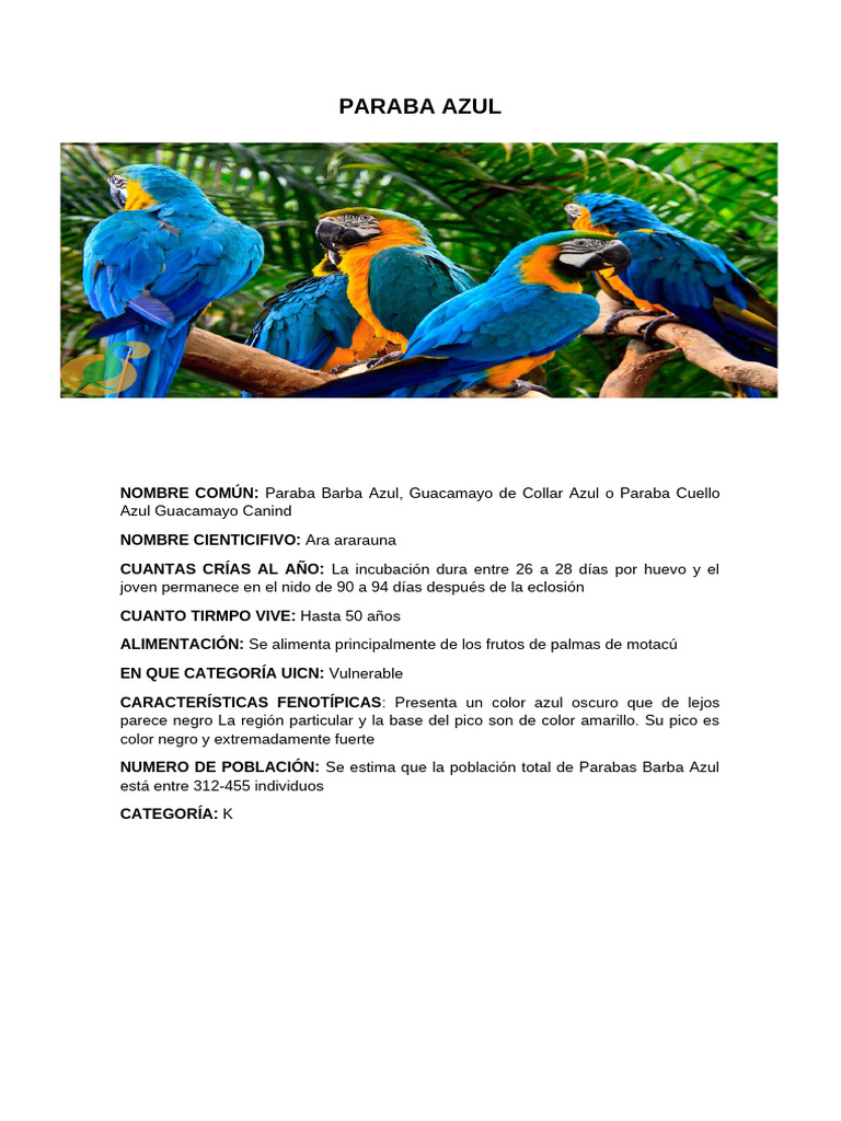 Paraba Azul | PDF