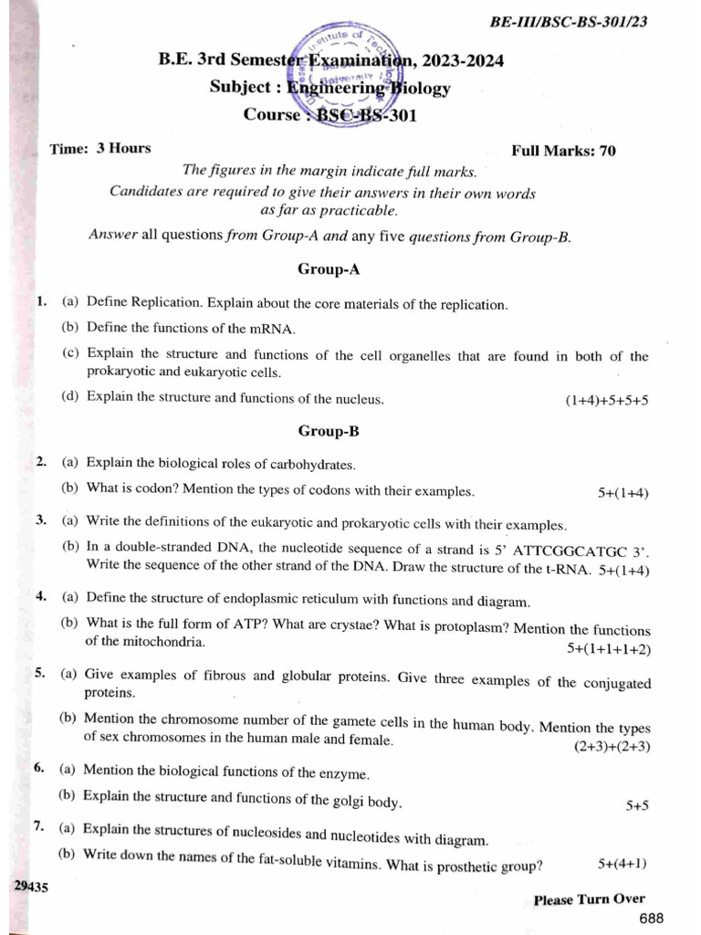 3rd Sem PYQs | PDF