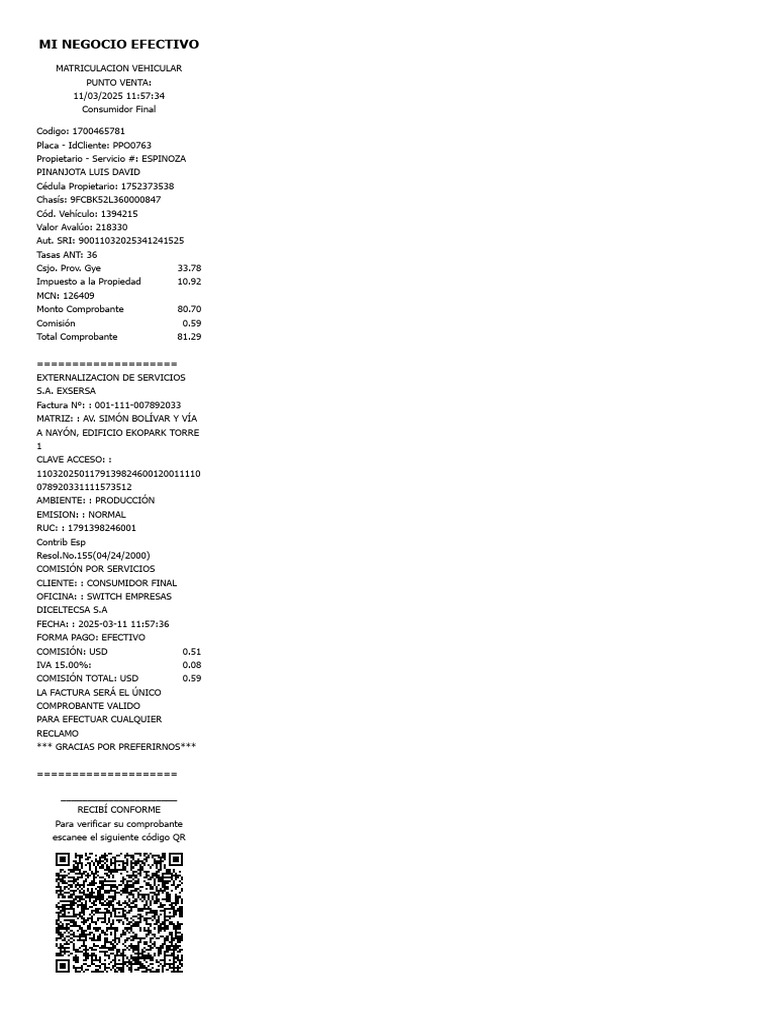Matrícula Vehicular en Línea | PDF