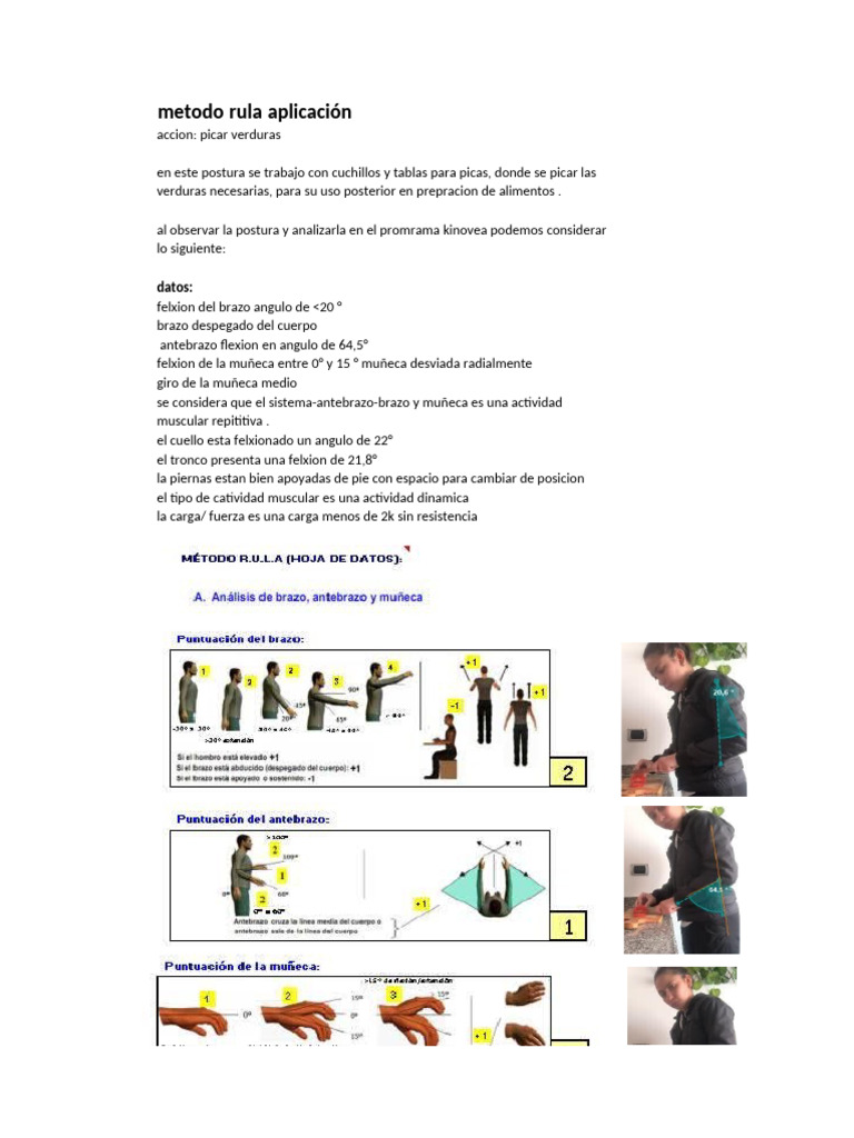 Metodo Rula | PDF