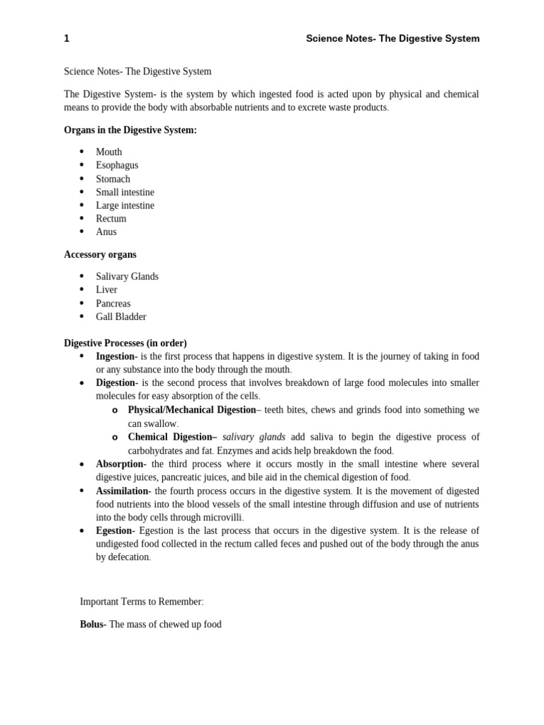 Digestive System Overview and Processes | PDF | Digestion | Human ...
