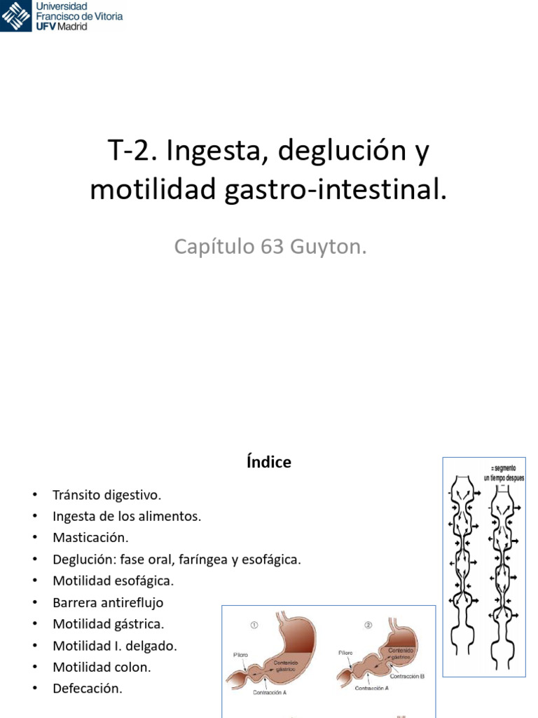 T-2.Ingesta y Motilidad. | PDF | Estómago | Digestión
