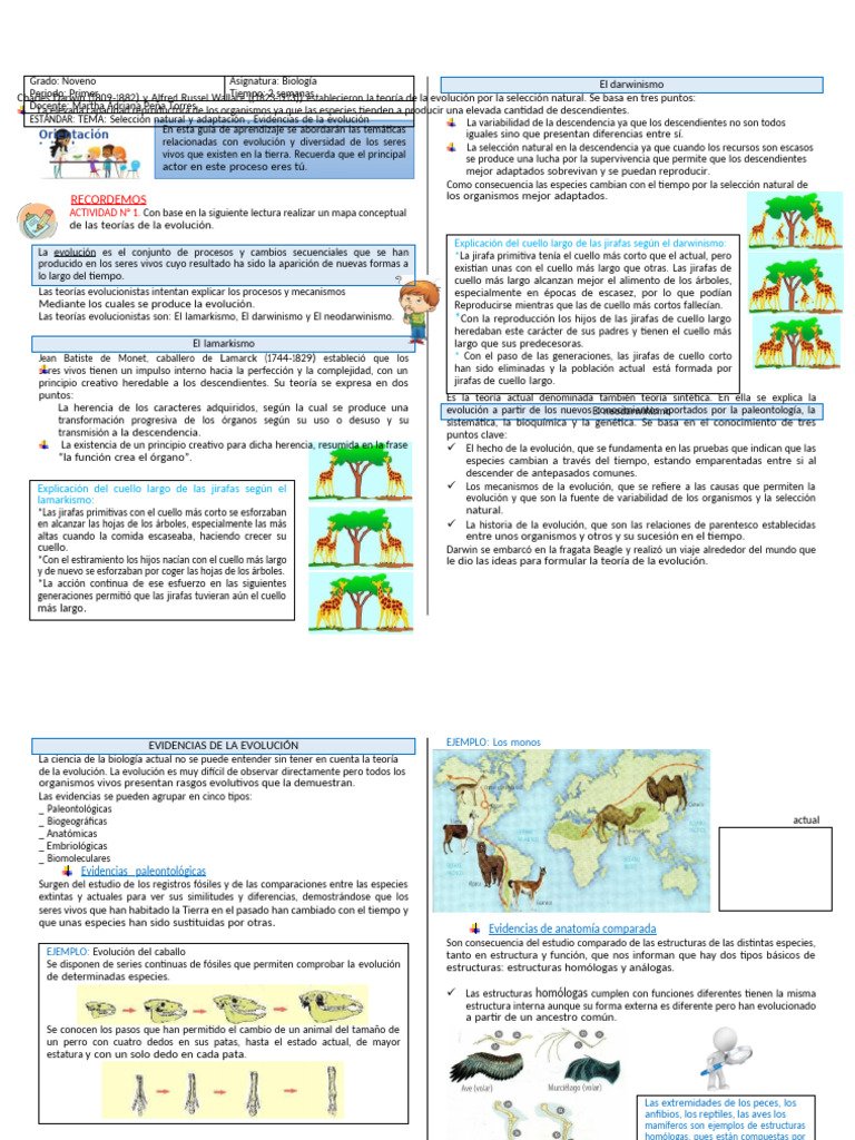 Teorías de la Evolución: Darwin y Lamarck | PDF | Evolución | Seleccion ...