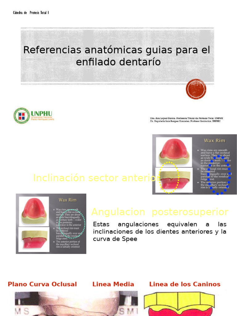Guía de Referencias para Enfilado Dentario | PDF | Anatomia dental | Diente