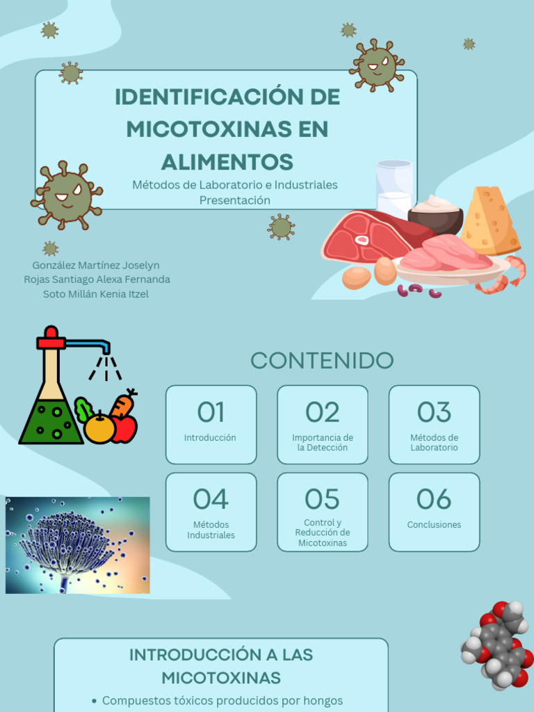 Detección de Micotoxinas en Alimentos | PDF | Micotoxinas