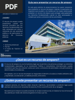 Cómo presentar un recurso de amparo en Costa Rica | PDF