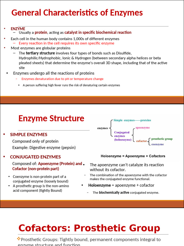 Enzyme Characteristics and Functions | PDF | Enzyme Inhibitor | Enzyme