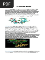 Download 10 macam enzim by Dheuns Muchtar Koesnandar SN83854711 doc pdf