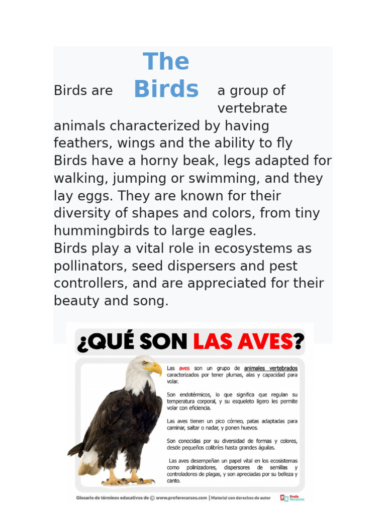 Overview of Bird Characteristics and Roles | PDF