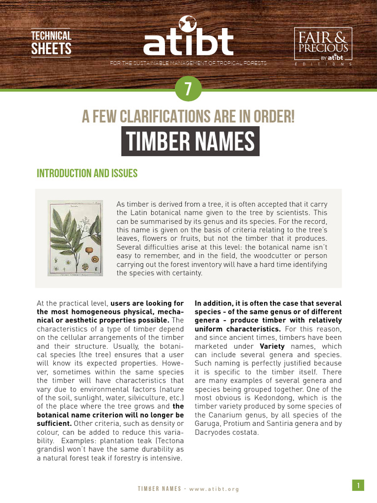 Understanding Timber Nomenclature | PDF | Oak | Species