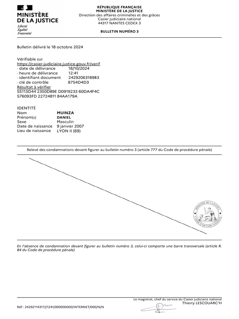 Bulletin n°3 Casier Judiciaire Daniel Muinza | PDF | Union européenne ...