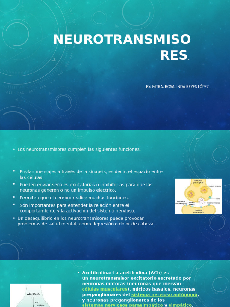Neuro Transm I Sores | PDF | Serotonina | Norepinefrina