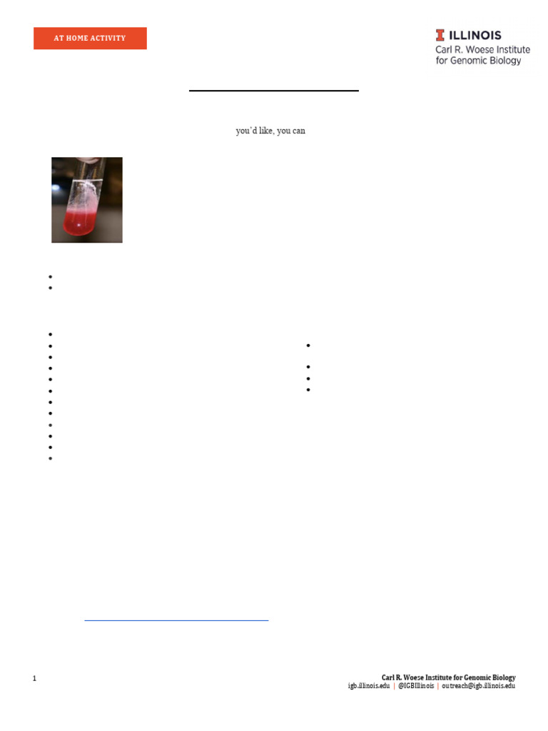 Strawberry DNA Extraction Guide | PDF | Dna | Molecular Biology