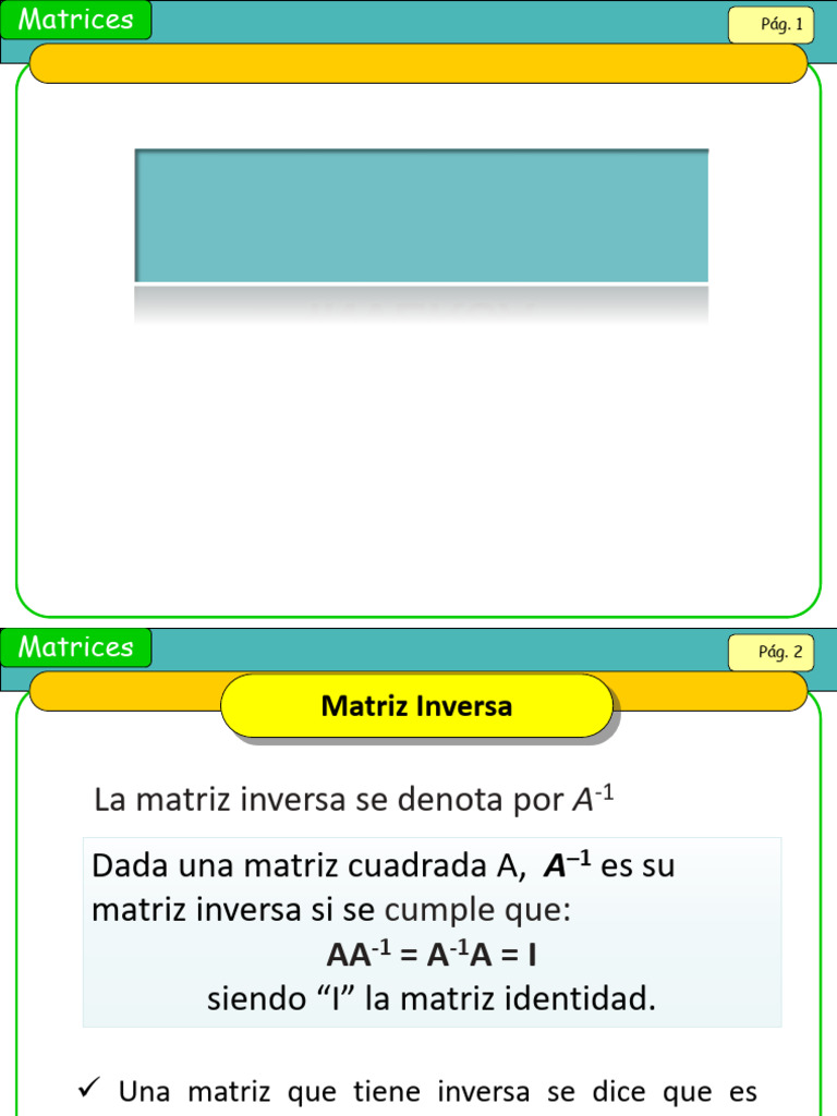Cálculo de Matrices Inversas | PDF | Matriz (Matemáticas) | Funciones y ...
