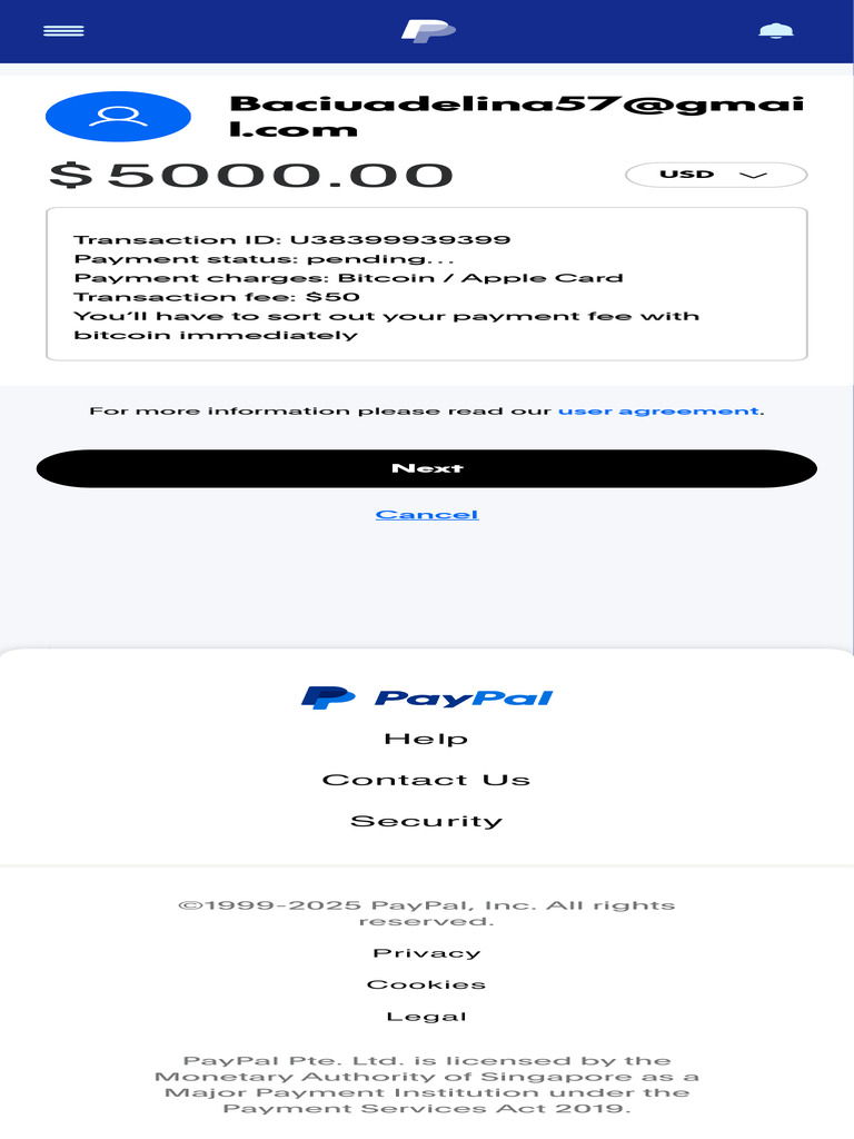 PayPal Make A Payment Preview 5 | PDF