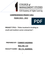 Comprehensive Project 2011 PGDM 2010 - 2012: "Risks Involved in Lending To Small and Medium Sector Enterprises"