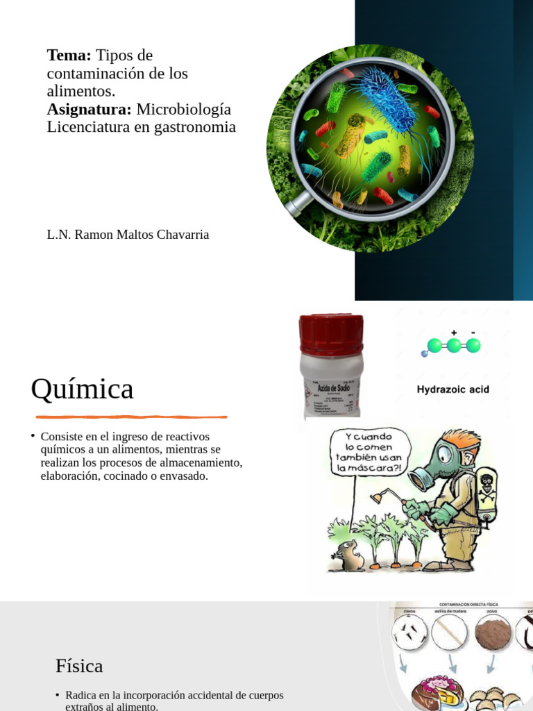 Tipos de Contaminación Alimentaria | PDF | Alimentos | Microorganismo