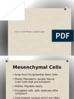 Mesenchymal vs Epithelial Cells
