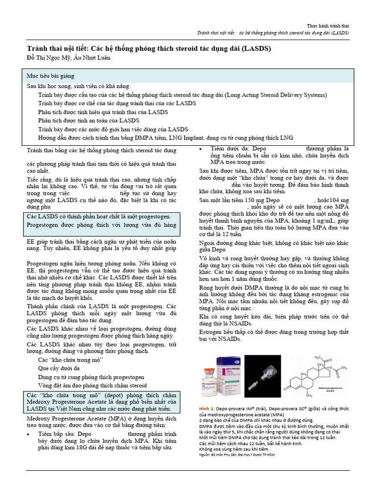 LASDS | PDF