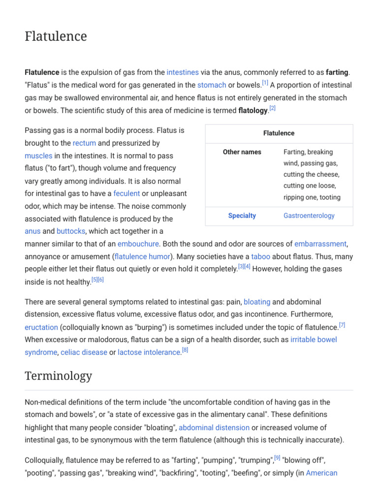 Understanding Flatulence and Its Effects | PDF | Flatulence ...